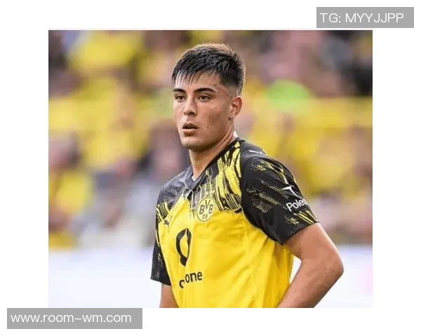 切尔西计划下赛季召回安塞尔米诺多特无缘签约他